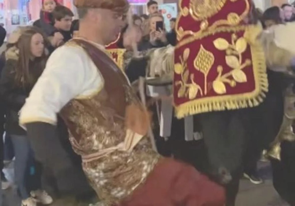 The dark side of festive traditions: rising outcry against animal abuse in public&nbsp;events